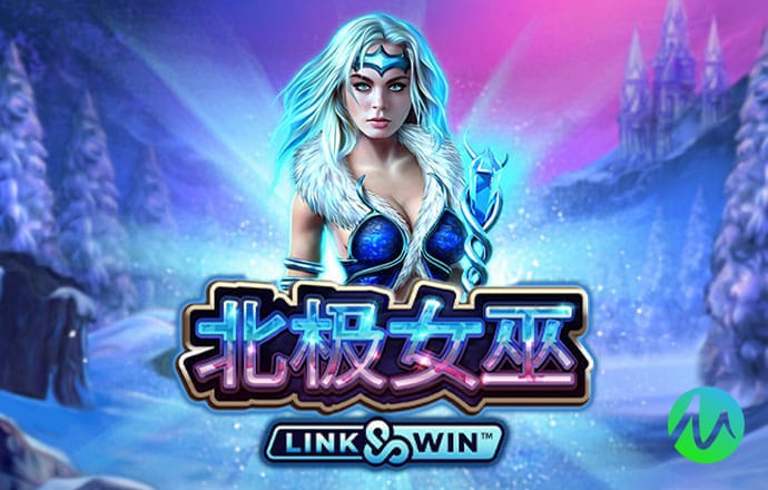 k1体育app手机官网入口截图3